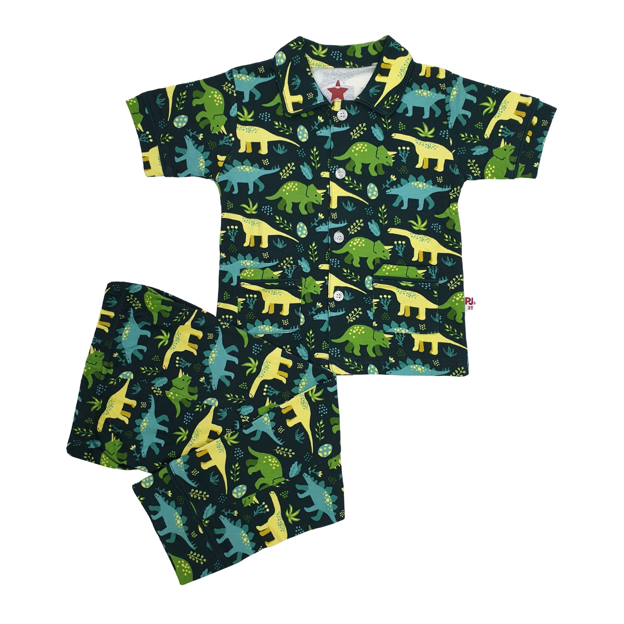 2115 DINO