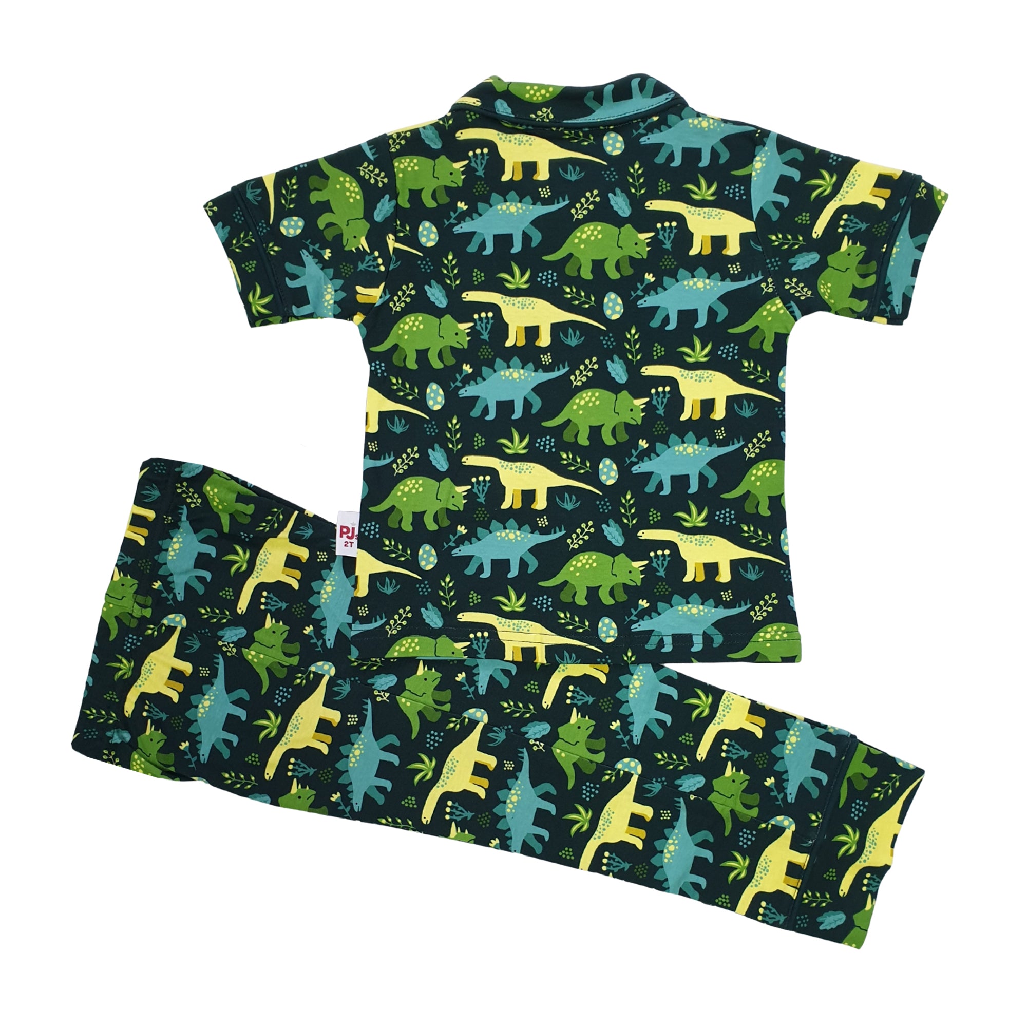 2115 DINO